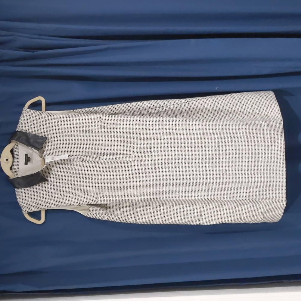 Ann Taylor Dress
